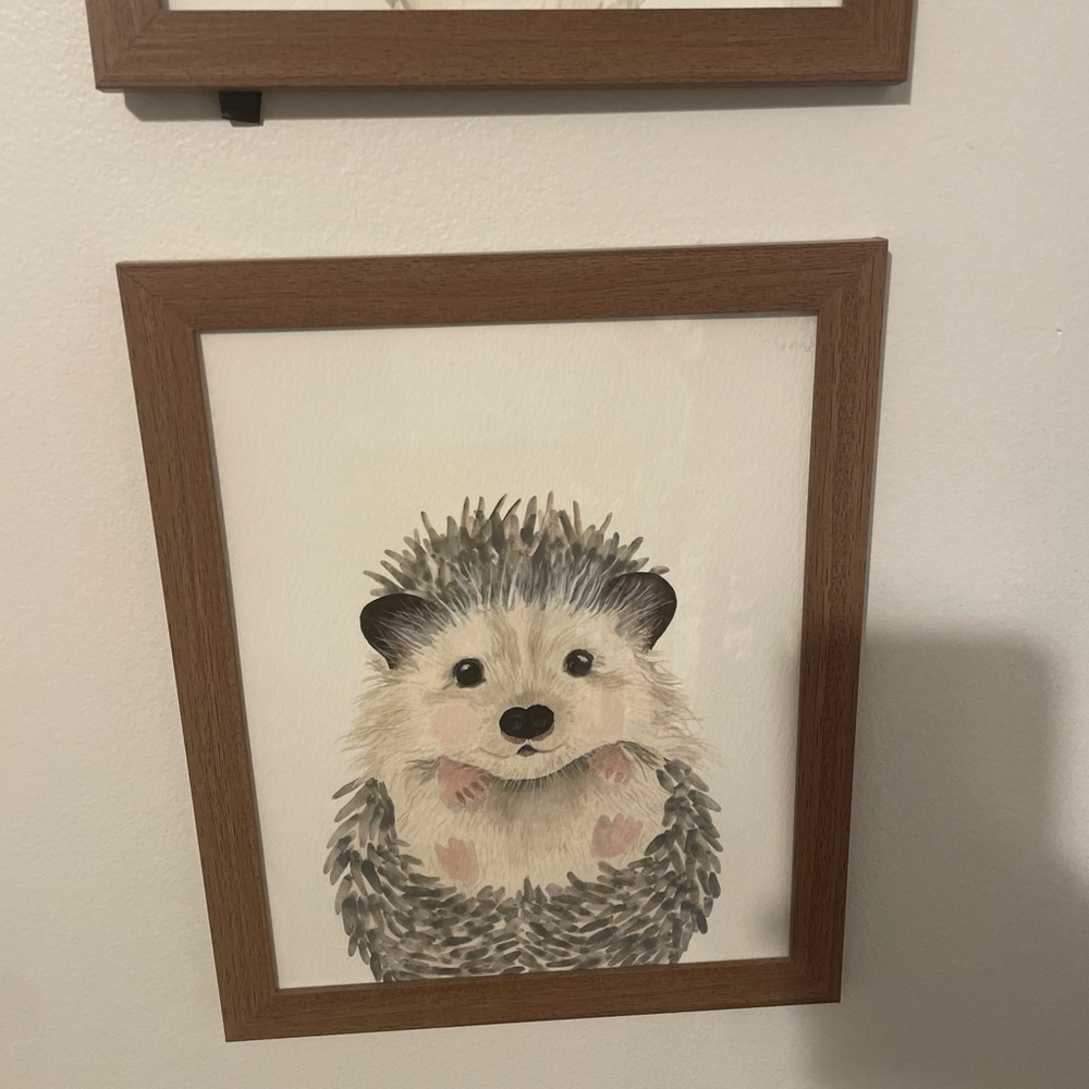 Set of 8 Framed Baby Animal Art Prints